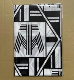 TM NETWORK IP★FANKS FANTASY DYNA-MIXバンダナ