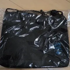 Item thumbnail for item 8516f433-6e42-46bd-9ac0-dde428c0c32b