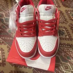 NIKE スニーカー レッド ホワイト25.5-26CM