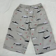 Item thumbnail for item 7da1c194-9d66-4689-860d-61c33f0b3d5f