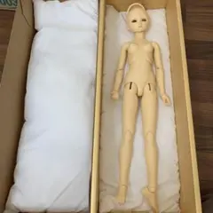 Item thumbnail for item d361589a-ef28-4225-bb69-ba1a7d485175