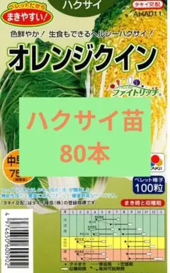 キャベツ苗 100本 冬魂 - メルカリ