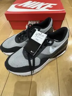 Nike Air Max グレー/ブラック スニーカー