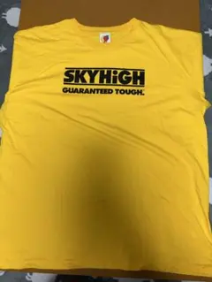 激レア SKY-HI ビンテージTシャツ 激レア SKY-HI ビンテージTシャツ - メルカリ