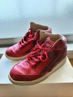 NIKE エアパイソン AIR phtyonレッド