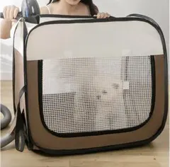 Item thumbnail for item 66321a35-c247-4985-b319-1b0ebe503dc9