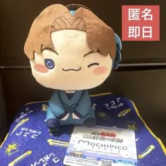 【新品タグ付き】忍たま乱太郎 もちぴこ ぬいぐるみ　山田利吉