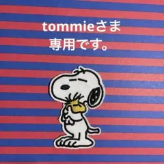 tommie様 リクエスト 2点 まとめ商品