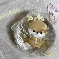 momo ミニシリーズ第二弾/海洋シリーズ/カワウソ モモスクイーズ MoMo ミニシリーズ 海洋 カワウソ - メルカリ