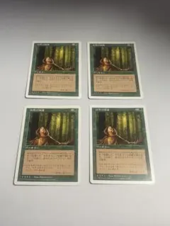 2026年最新】MTG 大地の知識の人気アイテム - メルカリ