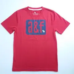 アバクロキッズTシャツ