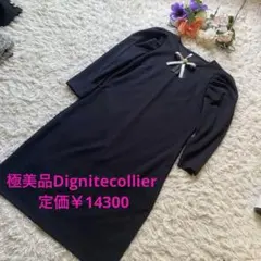 Item thumbnail for item d3399518-f8cd-4ade-88b6-ff9eabb7e3d4