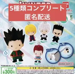 HUNTER×HUNTER めじるしアクセサリー　全５種セット　ガチャ