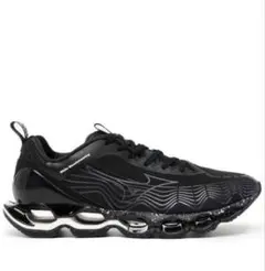 mizuno wave prophecy 27