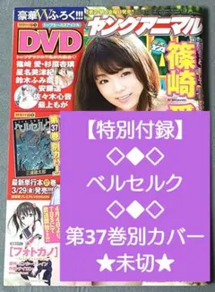ヤングアニマル1995年12号ベルセルク巻頭カラー第59話【魔犬①】/浜崎
