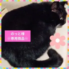 のっと様 ❀専用商品❀