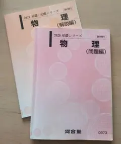 2026年最新】物理 基礎理論 河合塾の人気アイテム - メルカリ