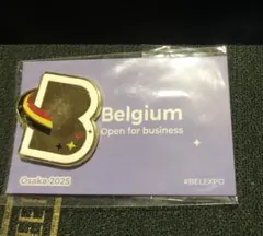 2025年最新】ベルギーピンバッジの人気アイテム - メルカリ