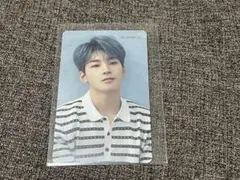 即購入⭕️SEVENTEEN セブチ　舞い落ちる花びら　hmvトレカ　ウォヌ