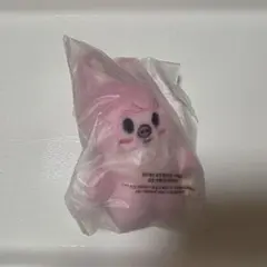 未開封 SKZOO PLUSH 10CM Ver. DWAEKKI トェッキ