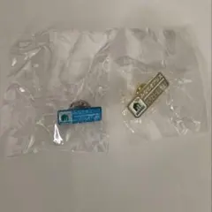 鳴潮 穂穂 スイスイ アクリルブロック ドミノピザ コラボ 海外限定