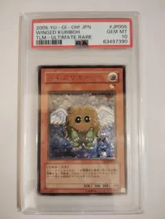 PSA10 ハネクリボー LV10 レリーフ 遊戯王 - メルカリ