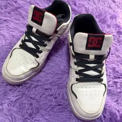 DC スニーカー 白靴 紐靴 26.0cm ローカット