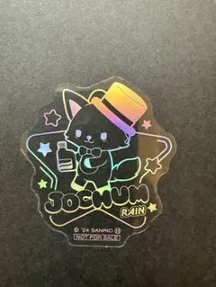 JOCHUM ジェオチャム レイン ホログラムステッカー