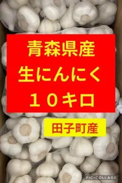 2026年最新】青森にんにく 田子の人気アイテム - メルカリ