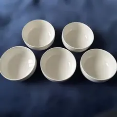 ホワイト陶器ボウル5個セット