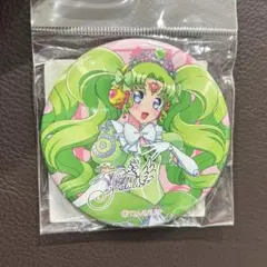 プリパラ 非売品　おねむ　ファルル　ステッカー　プリティーオールフレンズ　カード プリパラ 非売品 おねむ ファルル ステッカー プリティーオール