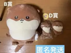 2026年最新】カワウソ ぬいぐるみ くじの人気アイテム - メルカリ
