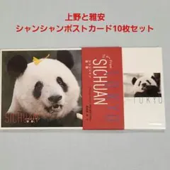 2025年最新】シャンシャン ポストカードセットの人気アイテム