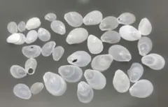 Item thumbnail for item 699f82fd-e816-4a60-8d6f-fb4cd5a722ed