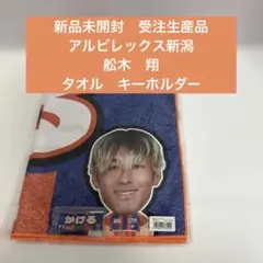 Item thumbnail for item c3774527-704e-4dba-92b9-fa411803e8f2