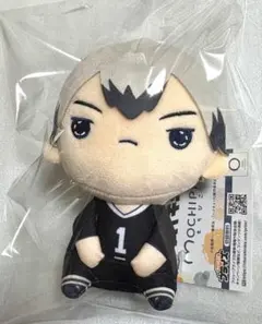 ハイキュー　もちぴこ　ぬいぐるみ　北信介　稲荷崎高校