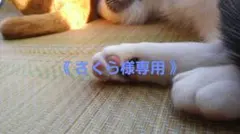 2026年最新】大野智の人気アイテム - メルカリ