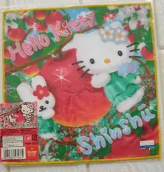 激レア　新品未開封　ご当地キティ　信州限定　　2008のサムネイル
