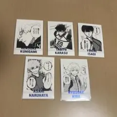 ブルーロック　ぱしゃこれ 5枚セット