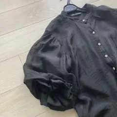 ZARA ザラ　シアー　パフスリーブブラウス