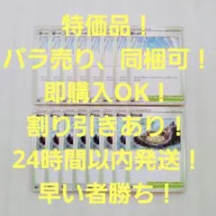 特価品 頂への雪道 嵐の山脈 各8枚 ポケモンカード