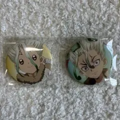 も*。様 Dr.STONE 石神千空　コレクション缶バッジ　ユニーク