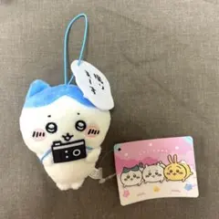 Item thumbnail for item f8236103-7c35-45d5-88d2-f51a60398bdf