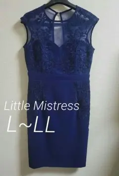 インポート レースペンシルドレス 結婚式 パーティー お呼ばれ 大きいサイズ L