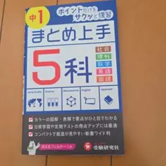 Item thumbnail for item 08e8b723-2ab3-47aa-8d54-3435d1faaf0e