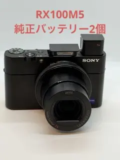 2026年最新】rx100m5の人気アイテム - メルカリ