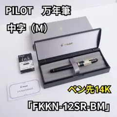 PILOT カスタム742 B｜10号14K 太字でヌラヌラと楽しむ万年筆 - メルカリ
