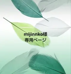 mijinnko様 リクエスト 4点 まとめ商品