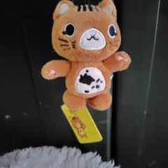 Item thumbnail for item 380df700-dcf6-40bc-b0c8-af6063a46432