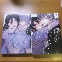 僕を悪い子にして1.2巻